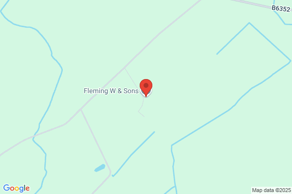 W Fleming & Sons