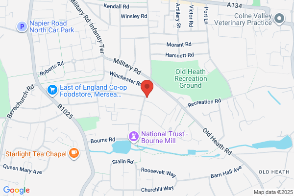 Colchester Tree Surgeon and Arborist