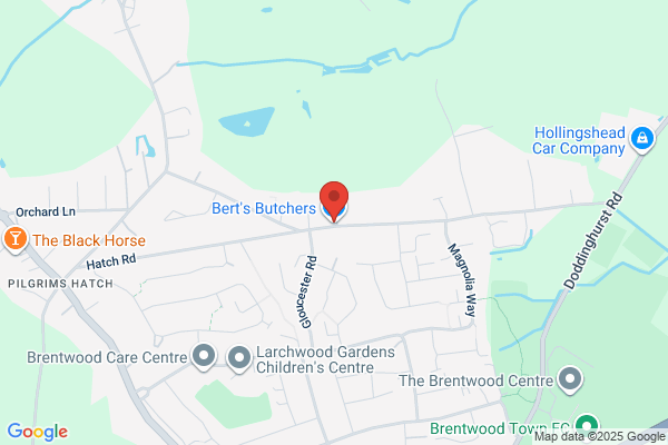 Bert's Butchers