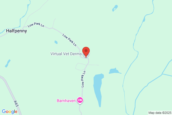 Virtual Vet Derms Ltd