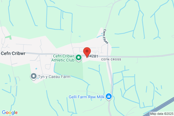 Cribbwr Garage