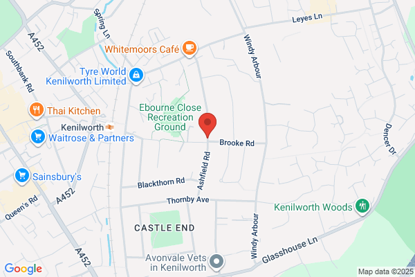 Kenilworth Balloons