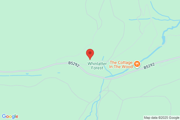Go Ape Whinlatter