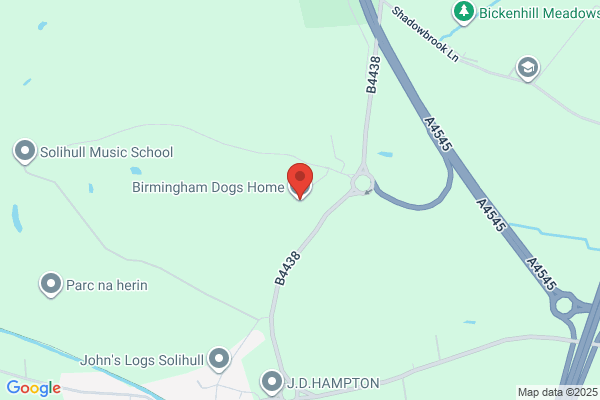 Birmingham Dog Show Society