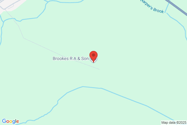 P Brookes