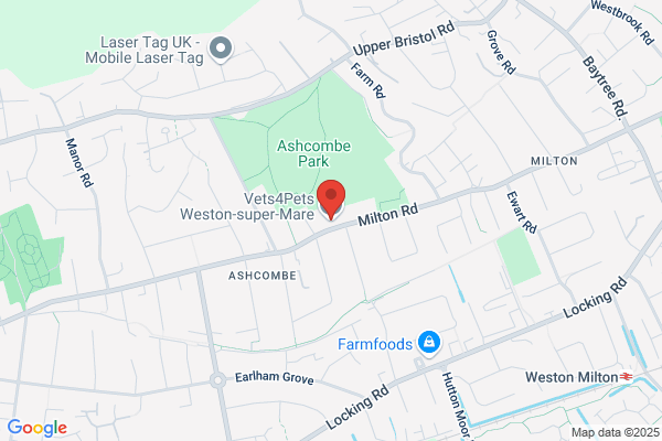 Vets4Pets Weston-super-Mare