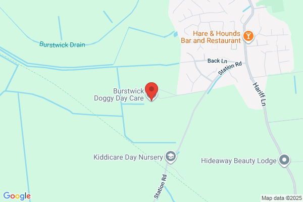 Burstwick Doggy Day Care