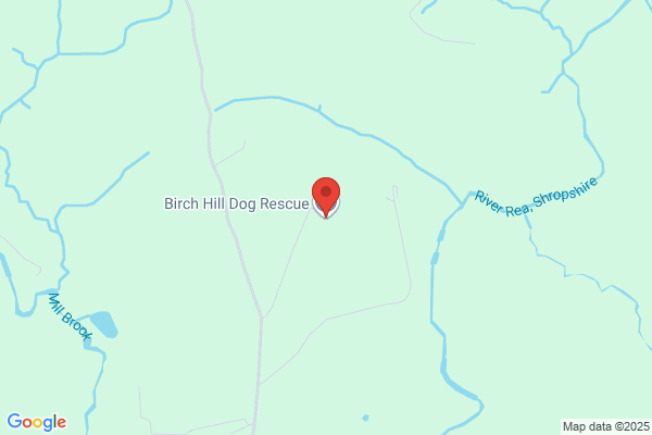 Birch Hill Kennels