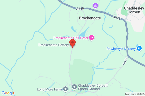 Bransley Cattery