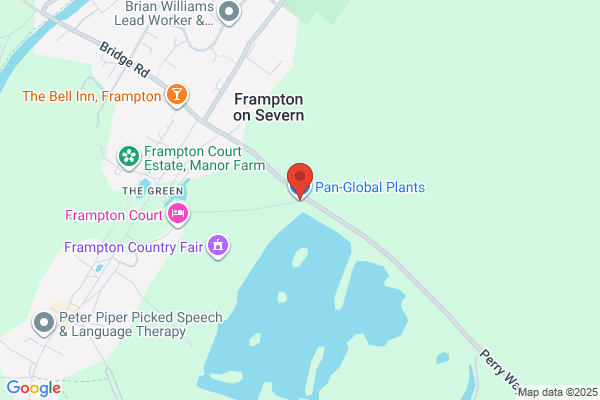 Global Plants Ltd