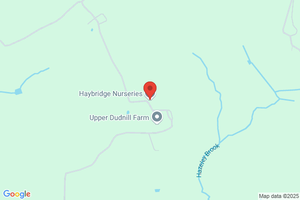 Haybridge Nurseries Ltd
