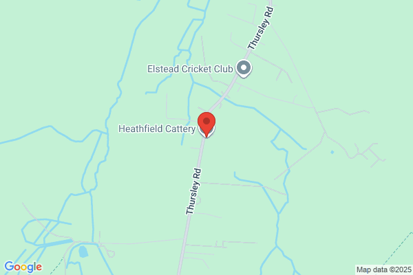 Heathfield Cattery