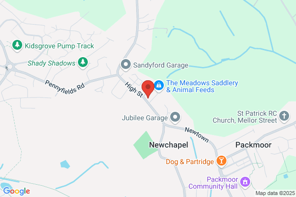 Meadows Cattery