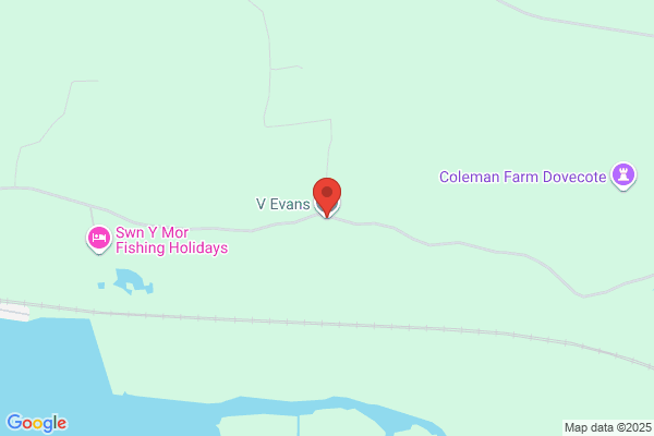 V Evans