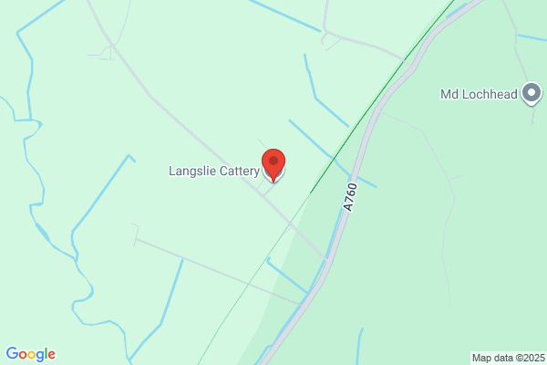 Langslie Cattery