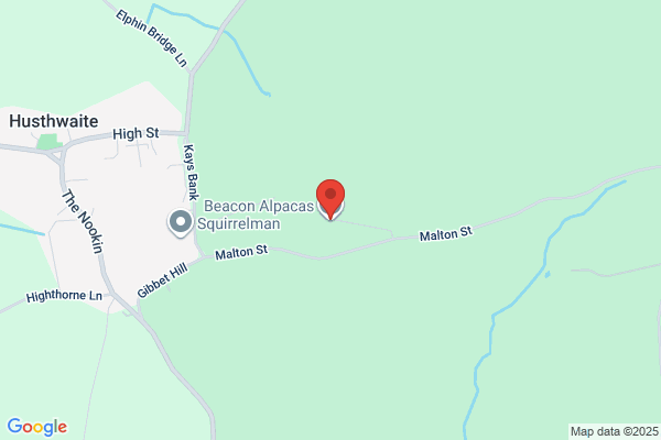 Beacon Alpacas