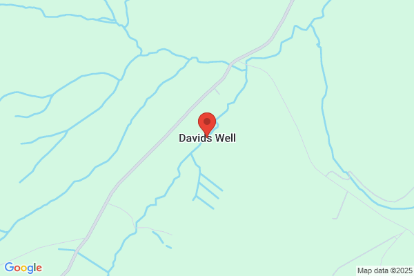 David Wells