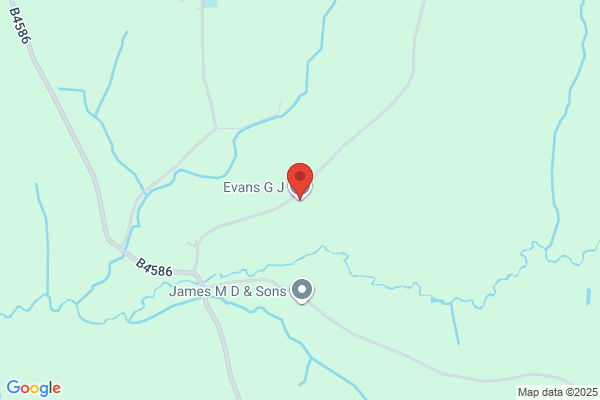 G J Evans
