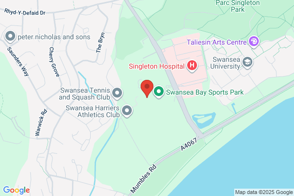 Swansea Sharks Swimming School