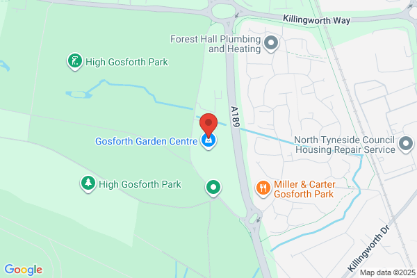 Maidenhead Aquatics Gosforth
