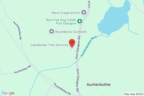 Caledonian Tree Services