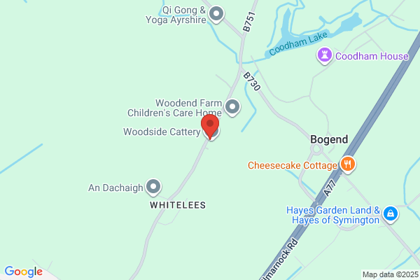 Woodside Cattery