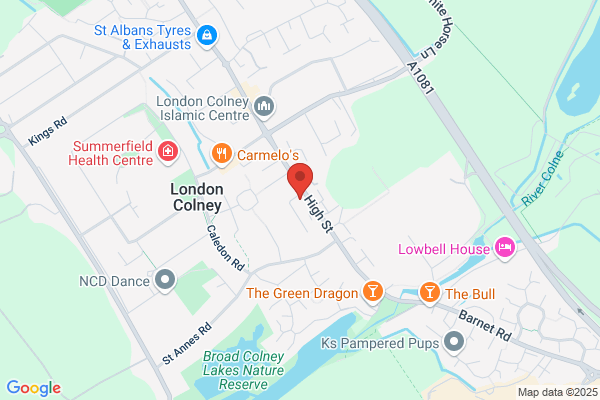 Golden Lion Garage