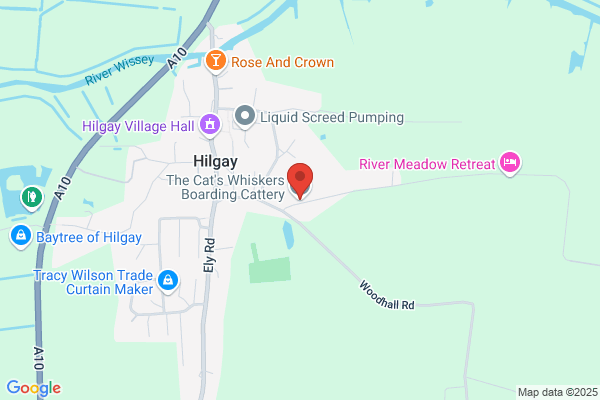 Clenchwarton Cattery