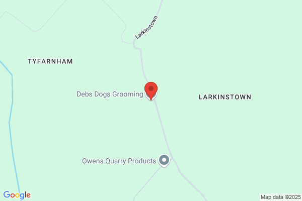 Debs Dogs Grooming Services