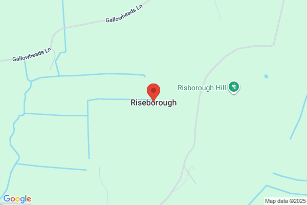 R J Riseborough