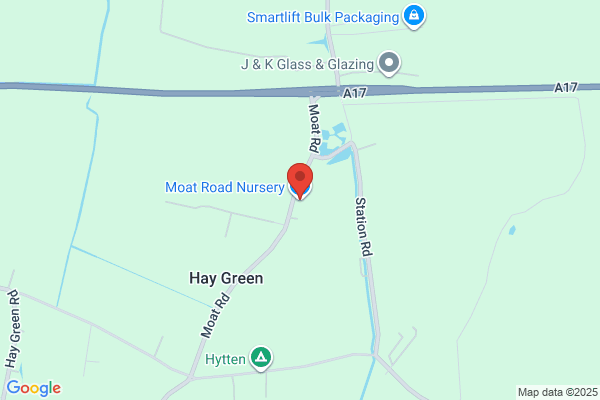 Moat Road Nursery