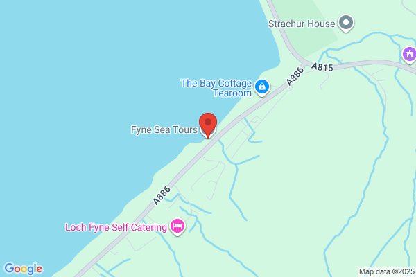 Fyne Charters