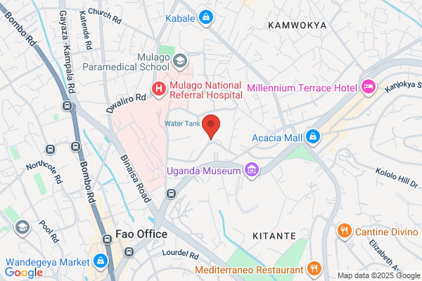 Uganda Society For Disabled Children