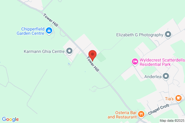 The Bull