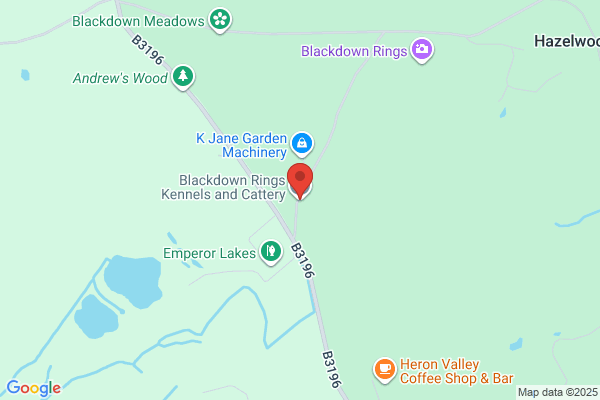 Blackdown Country Kennels & Cattery