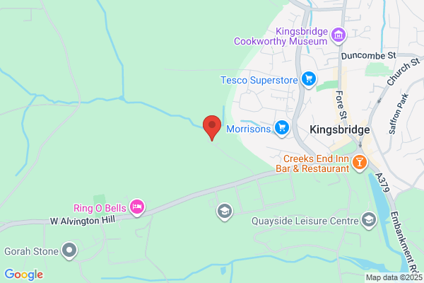 Kingsalton Ltd