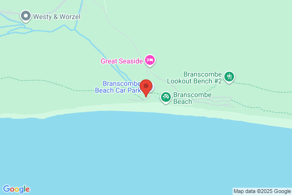 The Sea Shanty