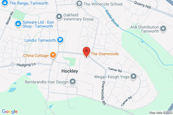 The Overwoods