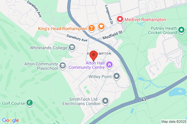 South West London Tree Surgeons