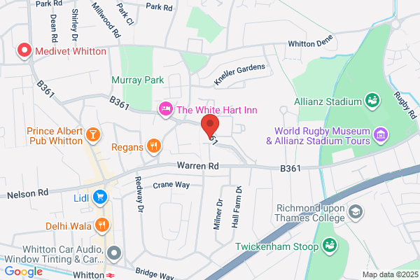 The Duke Of Cambridge