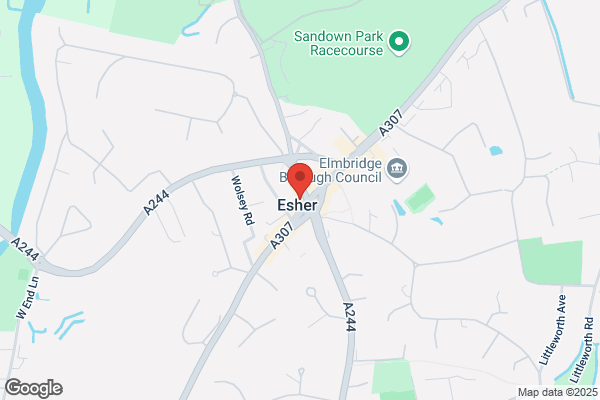 Esher Best Kebab & Burger House