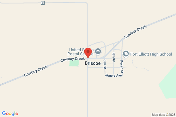 Briscoe