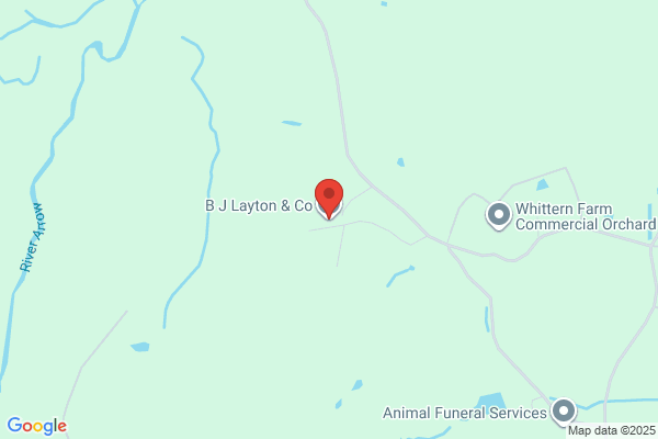 B J Layton & Co