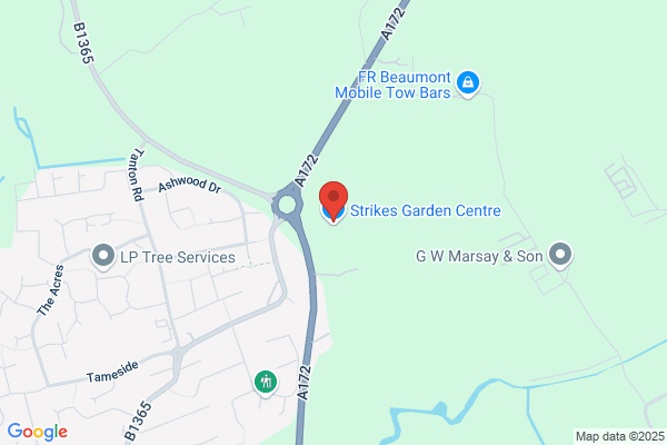 Maidenhead Aquatics Stokesley