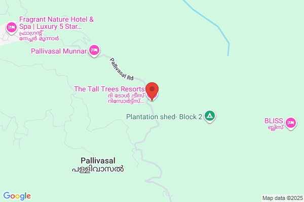 Tall Trees Hotel