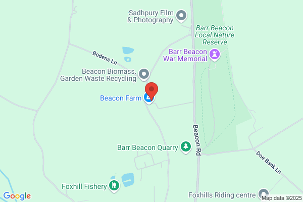 Beacon Forestry