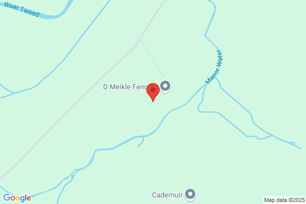 D Meikle Fencing