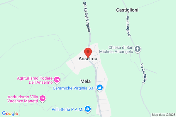 Anselmo's