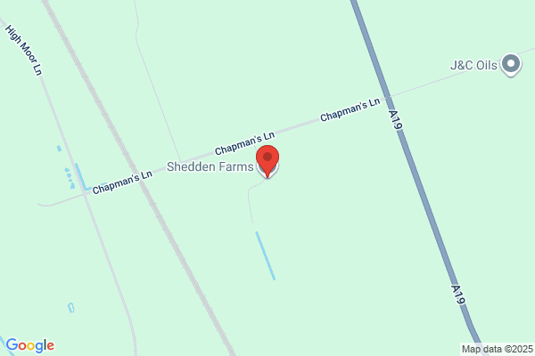 D S & Co (Sheep Farming) Ltd