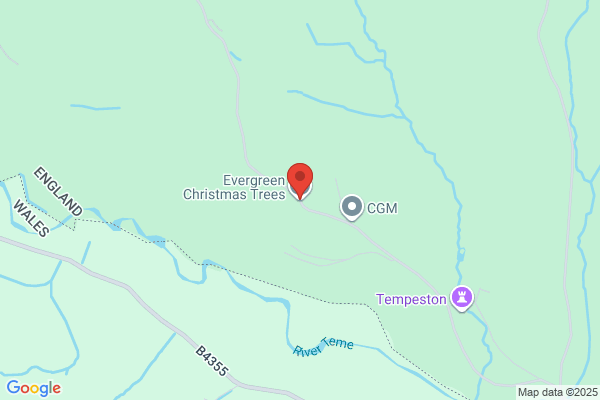 Evergreen Detectors
